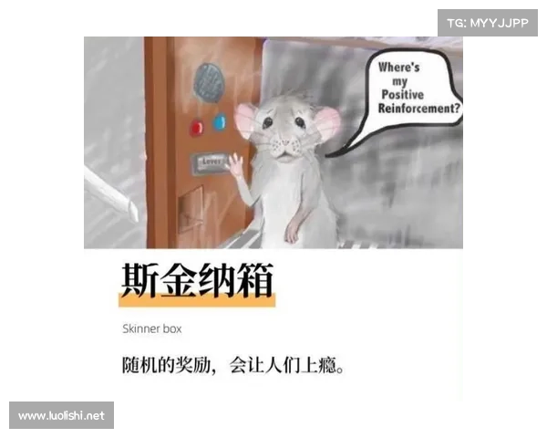 神界3原罪：刷箱子，揭秘丰厚奖励